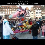 w Strass carnaval - Sorcière